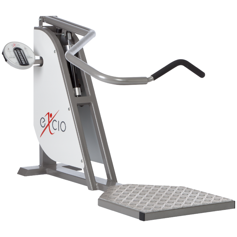 E-08 Front Raise - Triceps Pushdown